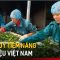 Phát huy tiềm năng dược liệu Việt Nam | Tin tức