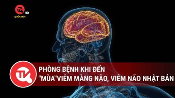 Phòng bệnh khi đến mùa viêm màng não, viêm não Nhật Bản | Truyền hình Quốc hội Việt Nam