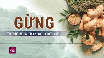 Phòng ngừa nguy cơ bệnh tật khi trời chuyển rét với loại củ rẻ như cho này | VTC Now