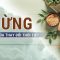 Phòng ngừa nguy cơ bệnh tật khi trời chuyển rét với loại củ rẻ như cho này | VTC Now