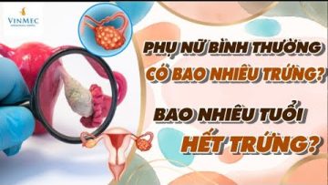 Phụ nữ bình thường có bao nhiêu trứng? Bao nhiêu tuổi thì hết trứng?