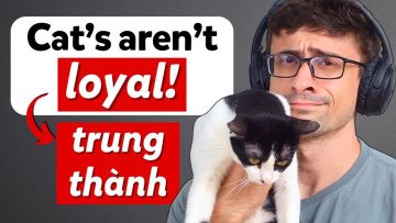 Podcast Chậm Rãi – Cùng nói về thú cưng nhé! | Tập 12