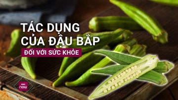 Quả đậu bắp: Thực phẩm quen thuộc và những giá trị dinh dưỡng ít người biết | VTC Now