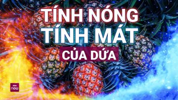 Quả dứa mát hay nóng, ăn nhiều dứa có tốt không? | VTC Now