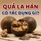 Quả la hán có tác dụng gì?