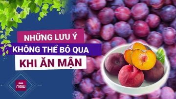 Quả mận có nhiều tác dụng quý nhưng có những vấn đề cần tuyệt đối lưu ý khi ăn | VTC Now