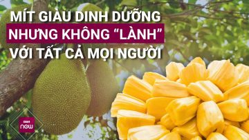 Quả mít ngon, giàu dinh dưỡng nhưng lại có thể… cực độc với một số người | VTC Now