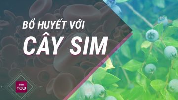 Quả sim: Vị thuốc đặc biệt dành cho người mắc bệnh thiếu máu | VTC Now