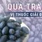 Quả trám: Vị thuốc bổ gan, giải độc, chữa ho, tăng cường sức khỏe tim mạch hiệu quả | VTC Now