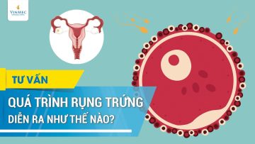 Quá trình rụng trứng diễn ra như thế nào?