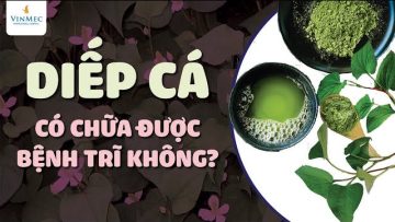 Rau diếp cá chữa bệnh trĩ như thế nào?