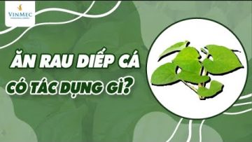 Rau diếp cá có tác dụng gì?