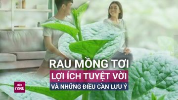 Rau mồng tơi: Lợi ích tuyệt vời và những điều cần lưu ý! | VTC Now