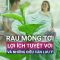 Rau mồng tơi: Lợi ích tuyệt vời và những điều cần lưu ý! | VTC Now