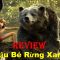 REVIEW PHIM CẬU BÉ RỪNG XANH || THE JUNGLE BOOK || SAKURA REVIEW