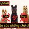 Review phim ISLE OF DOGS (Đảo của những chú chó)