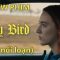 Review phim LADY BIRD: TUỔI NỔI LOẠN