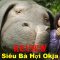 REVIEW PHIM SIÊU LỢN OKJA || SAKURA REVIEW