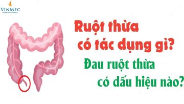 Ruột thừa có tác dụng gì? Đau ruột thừa có dấu hiệu nào?