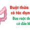 Ruột thừa có tác dụng gì? Đau ruột thừa có dấu hiệu nào?