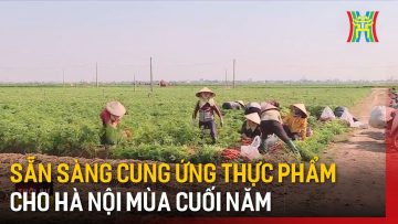 Sẵn sàng cung ứng thực phẩm cho Hà Nội mùa cuối năm | Tin tức