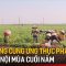 Sẵn sàng cung ứng thực phẩm cho Hà Nội mùa cuối năm | Tin tức