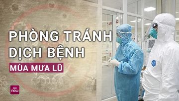 Sau tai hoạ bão, lũ, sạt lở miền bắc sẽ đối diện với dịch bệnh có thể sinh sôi? | VTC Now