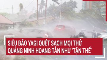 Siêu bão Yagi quét sạch mọi thứ, Quảng Ninh hoang tàn như ‘tận thế’