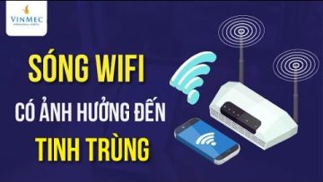 Sóng wifi có ảnh hưởng đến tinh trùng?