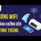 Sóng wifi có ảnh hưởng đến tinh trùng?