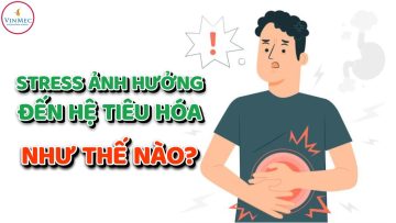 Stress ảnh hưởng đến dạ dày, hệ tiêu hóa thế nào?