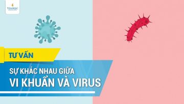 Sự khác nhau giữa vi khuẩn và virus