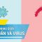 Sự khác nhau giữa vi khuẩn và virus