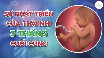 Sự phát triển của thai nhi 3 tháng cuối thai kì