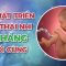 Sự phát triển của thai nhi 3 tháng cuối thai kì