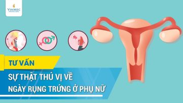 Sự thật thú vị về ngày rụng trứng