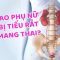 Tại sao phụ nữ hay bị tiểu rắt khi mang thai?| BS Trần Thị Thu Hà, BV Vinmec Times City