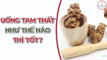 Tam thất có những công dụng đặc biệt gì? Dùng thế nào cho an toàn và hiệu quả?