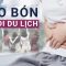 Táo bón: Đâu mới là nguyên nhân thực sự, giải quyết dứt điểm bằng cách nào? | VTC Now