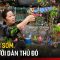 Tết đến sớm với người dân Thủ đô | Tin tức