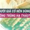 Thắc mắc: Người cao tuổi mắc bệnh nền có nên dùng Đông trùng hạ thảo? | VTC Now