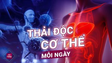 Thải độc cơ thể mỗi ngày: Bí quyết khỏe mạnh từ giấc ngủ và thực phẩm tự nhiên | VTC Now