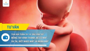 Thai nhi tuần 10-14: Dấu vân tay, móng tay hình thành; bé có mắt và tai, biết nheo mắt và nhăn mặt