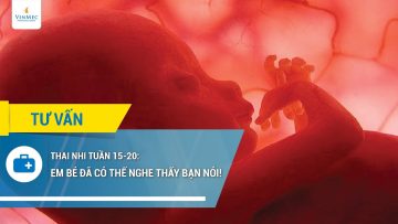 Thai nhi tuần 15-20: Em bé đã có thể nghe thấy bạn nói rồi đấy!