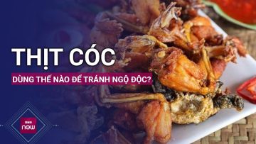 Thịt cóc giàu dinh dưỡng nhưng chế biến thế nào để không ngộ độc? | VTC Now