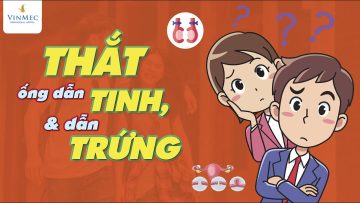 Thông não về thắt ống dẫn tinh, thắt ống dẫn trứng