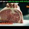 Thứ Gì Ngon Nhất thế Giới ? – Review phim Hunger 2023 khao khát thành công