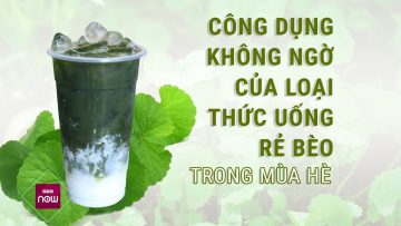 Thức uống rẻ bèo nhưng công dụng giải nhiệt vô cùng đặc biệt | VTC Now