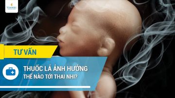 Thuốc lá ảnh hưởng thế nào tới thai nhi?