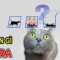 Thuyết Đa Thế Giới | Thiên Hà TV